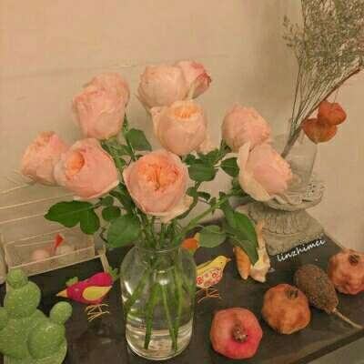 利澳平台注册开户